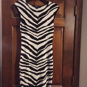Express Zebra Dress